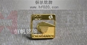 公司成立20周年庆典徽章,庆典纪念章